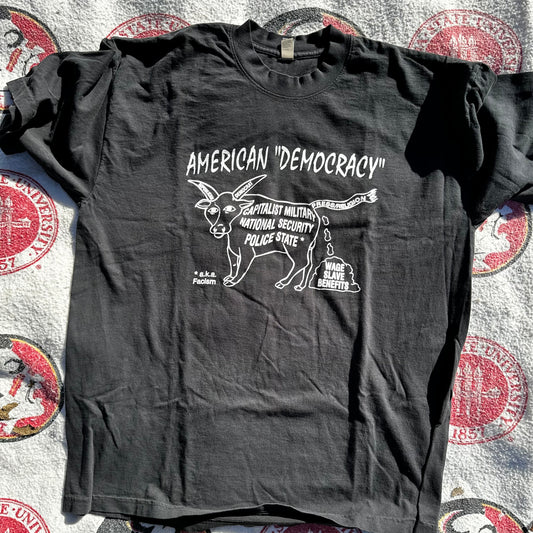 American Democracy Shirt